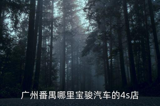 廣州市寶駿汽車服務有限公司，廣州番禺哪里寶駿汽車的4s店