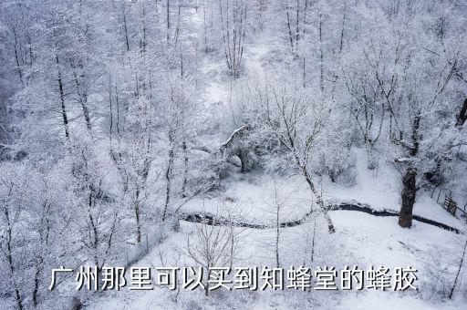 廣州知蜂堂聯系電話，廣州那里可以買到知蜂堂的蜂膠