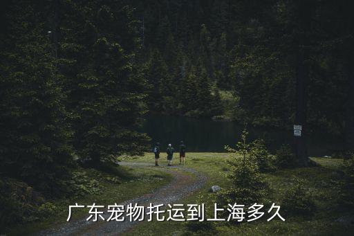 廣州虹橋寵物店，廣東寵物托運到上海多久