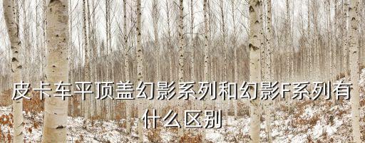 皮卡車平頂蓋幻影系列和幻影F系列有什么區別