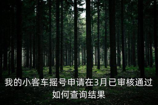 廣州小客車搖號怎么查詢結(jié)果，搖號申請成功之后怎么查詢是不是搖號成功了