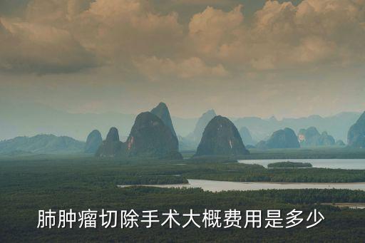 肺腫瘤切除手術(shù)大概費用是多少