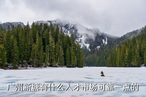 廣州新塘有什么人才市場可靠一點(diǎn)的