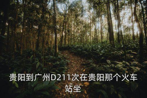 貴陽(yáng)到廣州D211次在貴陽(yáng)那個(gè)火車站坐