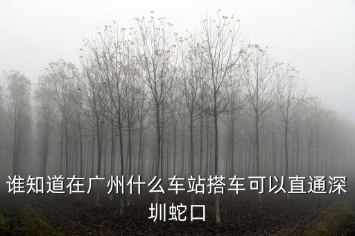 廣州祈福新村汽車站到蛇口，廣州到深圳蛇口