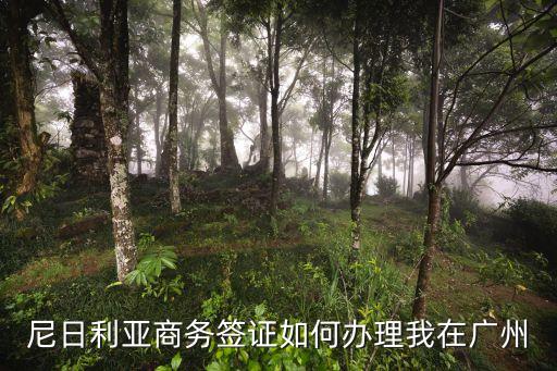 尼日利亞商人在廣州，尼日利亞商務(wù)簽證如何辦理我在廣州
