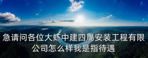 急請問各位大蝦中建四局安裝工程有限公司怎么樣我是指待遇