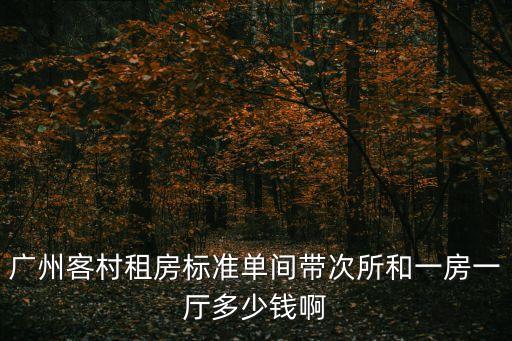 廣州客村租房標(biāo)準(zhǔn)單間帶次所和一房一廳多少錢啊