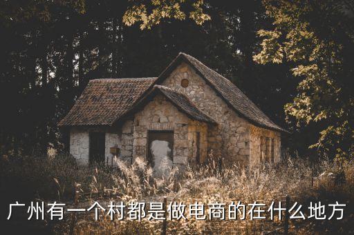 廣州有一個村都是做電商的在什么地方