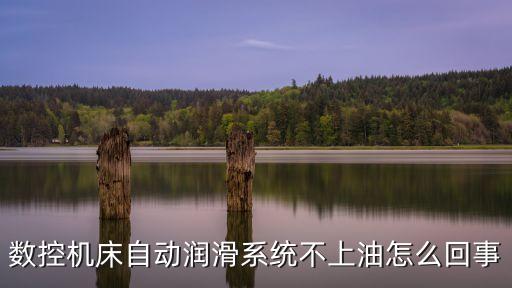 數控機床自動潤滑系統不上油怎么回事