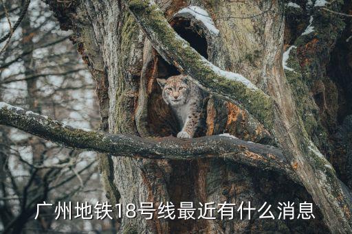 廣州地鐵18號線慶盛站取消了嗎，已經在運行的廣州地鐵線路中有哪些站點沒有開通