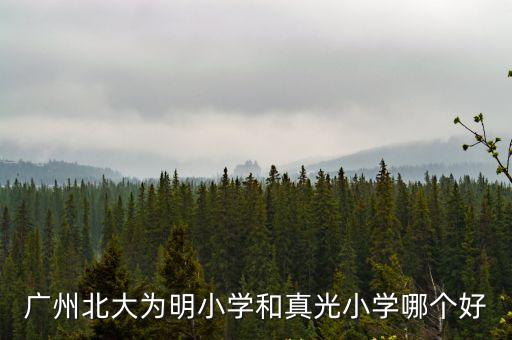 廣州北大為明小學(xué)和真光小學(xué)哪個(gè)好