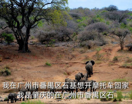我在廣州市番禺區石基想開摩托車回家我是肇慶的在廣州市番禺區石