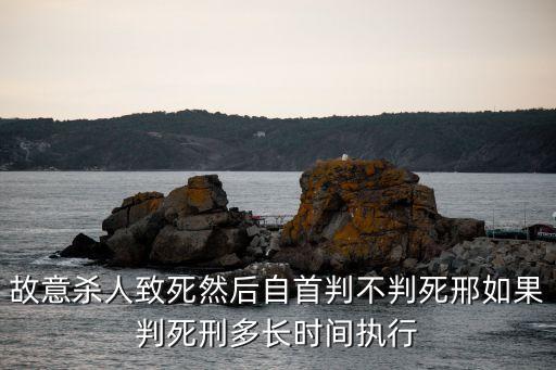 廣州伍志堅死刑，故意殺人致死然后自首判不判死邢如果判死刑多長時間執行