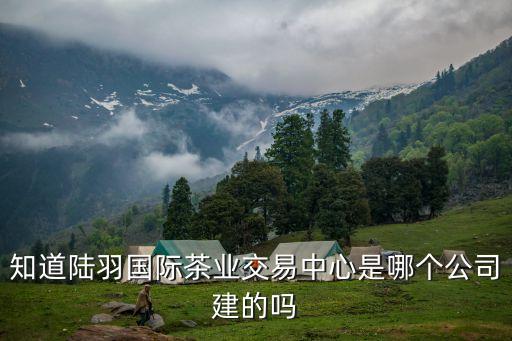 知道陸羽國際茶業交易中心是哪個公司建的嗎