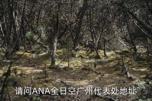 廣州ana全日空代表處，全日空柜臺在 廣州白云機場哪個航站樓