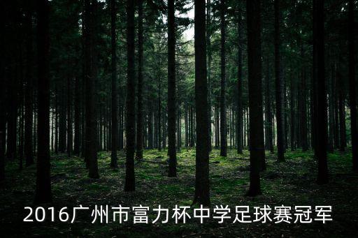 廣州富力u12梯隊奪冠賽亞軍，廣州富力贏了恒大今年會不會富力奪冠
