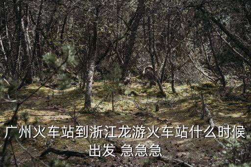 廣州到龍游動(dòng)車時(shí)刻表，廣州到龍游的發(fā)車時(shí)間