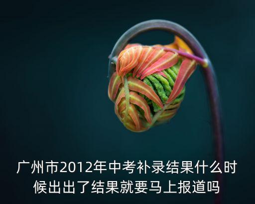 廣州市2012年中考補(bǔ)錄結(jié)果什么時(shí)候出出了結(jié)果就要馬上報(bào)道嗎