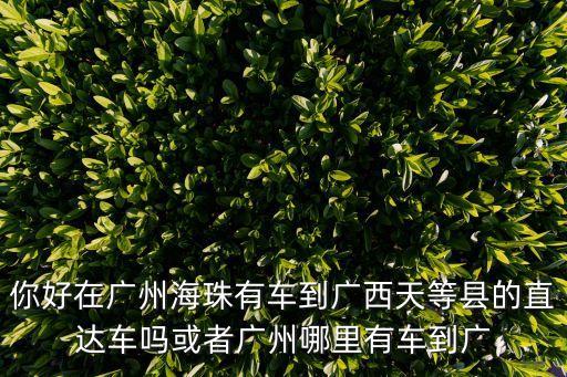 你好在廣州海珠有車到廣西天等縣的直達車嗎或者廣州哪里有車到廣