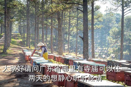 大家好請問廣東省哪里有寺廟可以住一兩天的想靜心聽聽經請