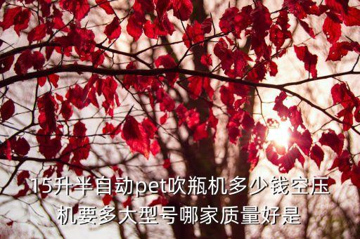 15升半自動pet吹瓶機多少錢空壓機要多大型號哪家質量好是