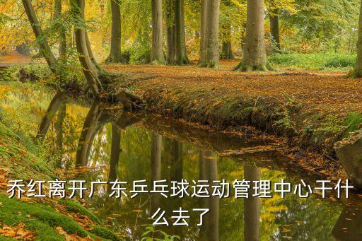 廣州乒乓球退役名將，范曉東真實身高