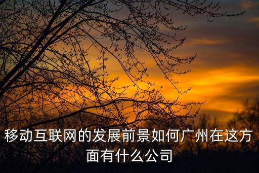 移動(dòng)互聯(lián)網(wǎng)的發(fā)展前景如何廣州在這方面有什么公司