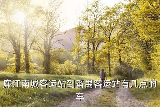 廉江有長途汽車到廣州番禺嗎，廉江南城客運站到番禺客運站有幾點的車