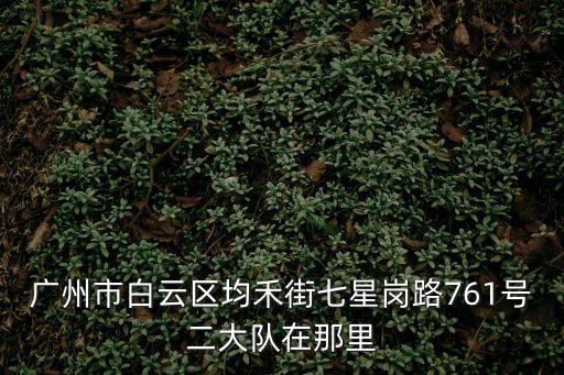 廣州交警白云二大隊事故組地址，白云區黃石路黃石立交橋東側白云二大隊怎么走