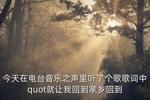 今天在電臺(tái)音樂(lè)之聲里聽(tīng)了個(gè)歌歌詞中quot就讓我回到家鄉(xiāng)回到