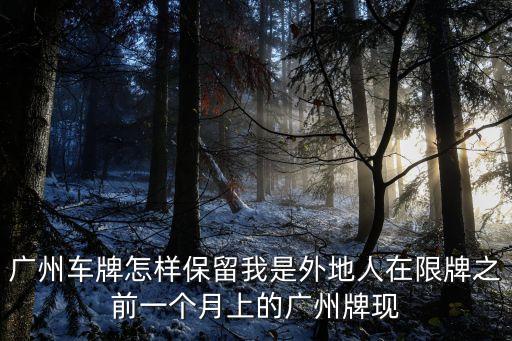 廣州車牌怎樣保留我是外地人在限牌之前一個月上的廣州牌現