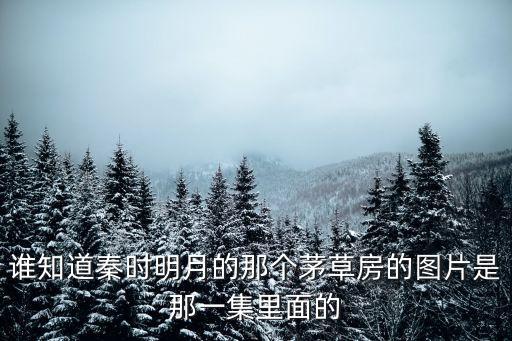誰(shuí)知道秦時(shí)明月的那個(gè)茅草房的圖片是那一集里面的