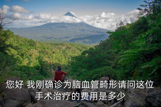 您好 我剛確診為腦血管畸形請問這位手術治療的費用是多少