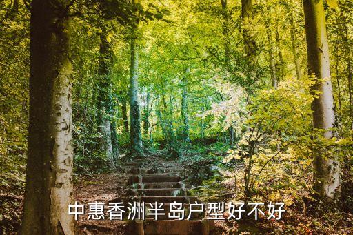 廣州中惠商住樓堵車嗎，中惠香樟半島地段怎么樣