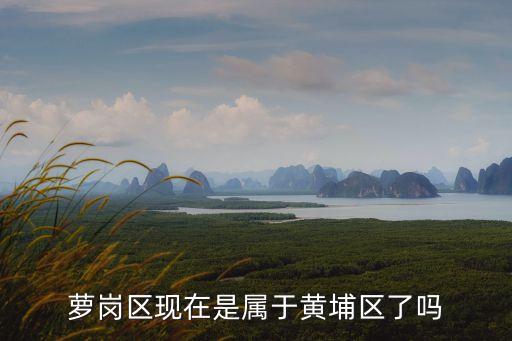 廣州蘿崗區會被撤銷嗎，蘿崗區現在是屬于黃埔區了嗎