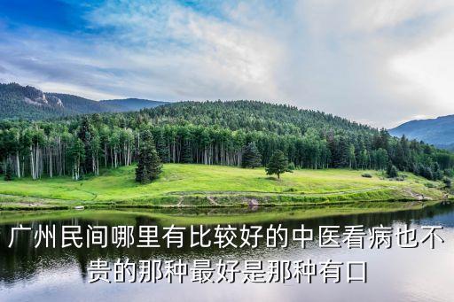 廣州民間哪里有比較好的中醫(yī)看病也不貴的那種最好是那種有口