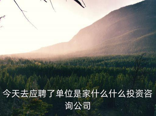今天去應聘了單位是家什么什么投資咨詢公司