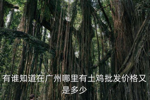 廣州賣雞肉去哪里拿貨價格，廣州哪里雞批發