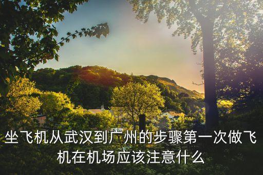 坐飛機(jī)從武漢到廣州的步驟第一次做飛機(jī)在機(jī)場應(yīng)該注意什么
