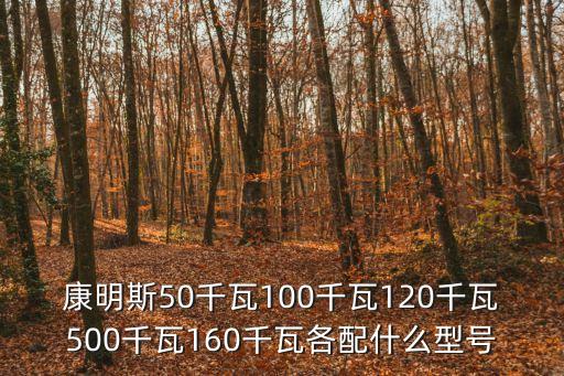 康明斯50千瓦100千瓦120千瓦500千瓦160千瓦各配什么型號