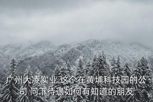 廣州大凌實(shí)業(yè) 這個(gè)在黃埔科技園的公司 問下待遇如何有知道的朋友