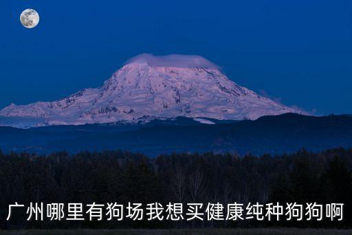 廣州哪里有狗場我想買健康純種狗狗啊