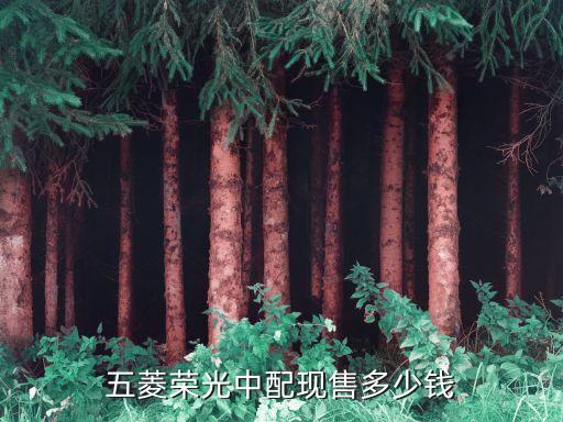 五菱榮光中配現售多少錢