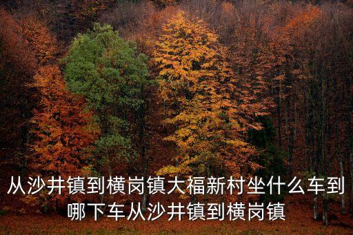 廣州橫崗大福新村，橫崗捷美特電子廠具體在哪里