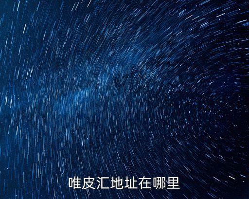 廣州市番禺億鋒織帶鞋材有限公司，唯皮匯地址在哪里