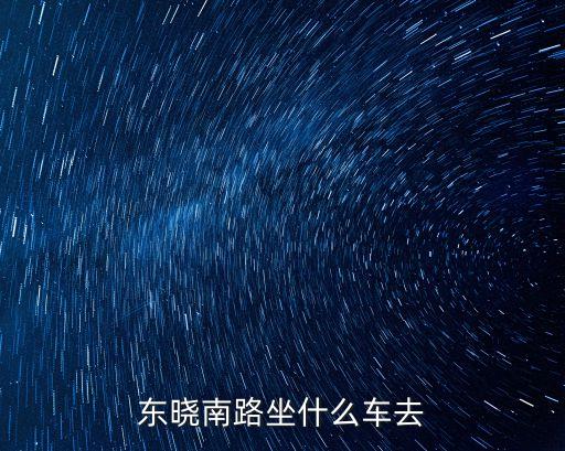 東曉南路坐什么車去