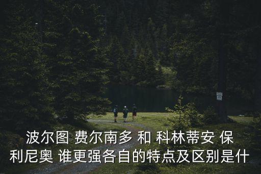 波爾圖 費爾南多 和 科林蒂安 保利尼奧 誰更強各自的特點及區別是什