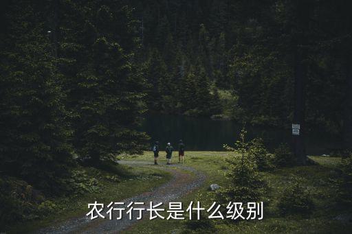 廣州農商銀行支行行長什么級別，農行行長是什么級別