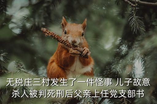 無稅莊三村發生了一件怪事 兒子故意殺人被判死刑后父親上任黨支部書
